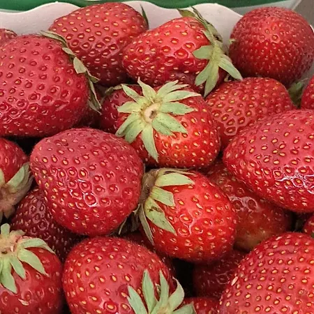 Bed and breakfast Sherlock's - Namur