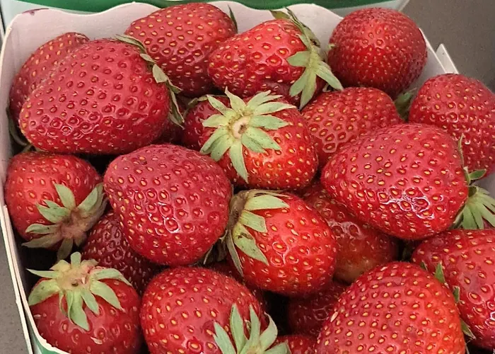 Bed & Breakfast Sherlock's - Namur